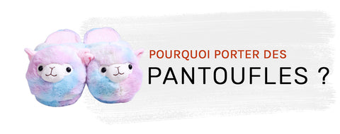 Pourquoi porter des chaussons ?